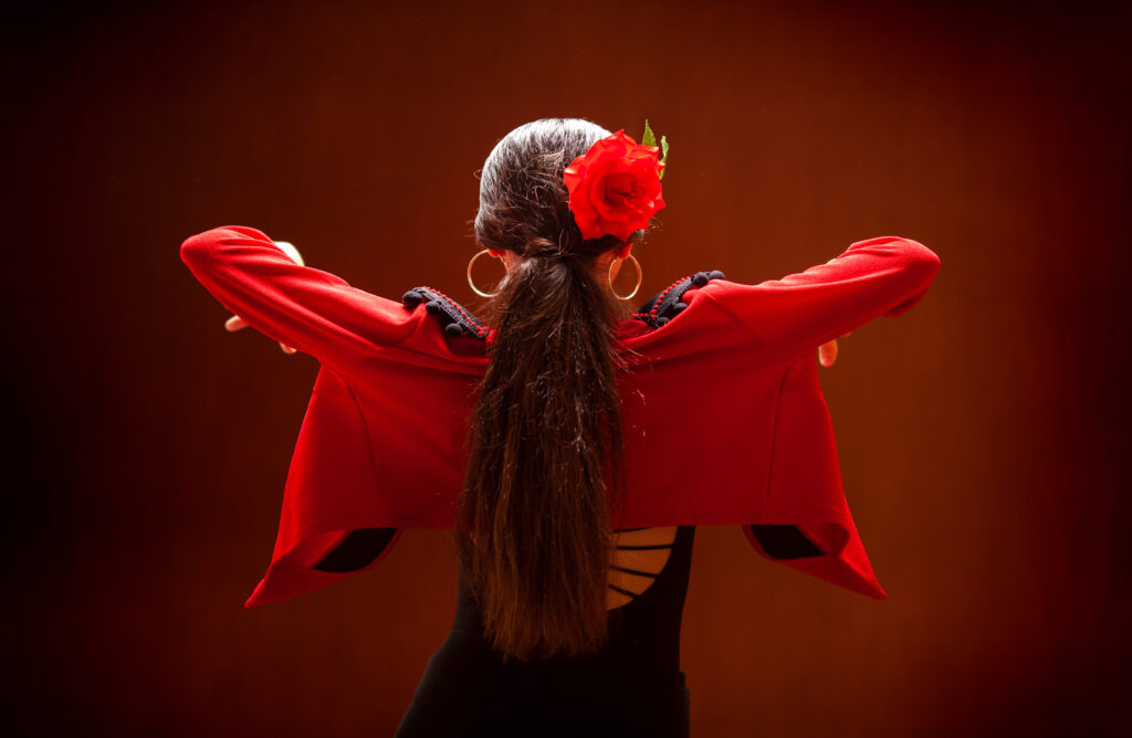 Flamenco Show